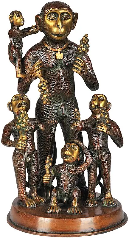 Monkey Family