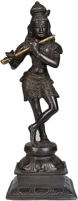 Fluting Krishna as Black Beauty
