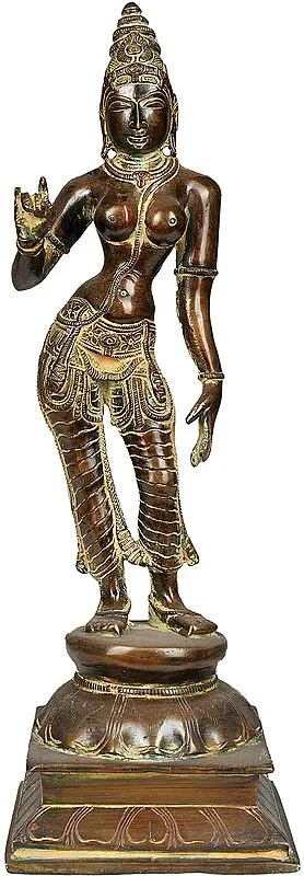 Goddess Parvati