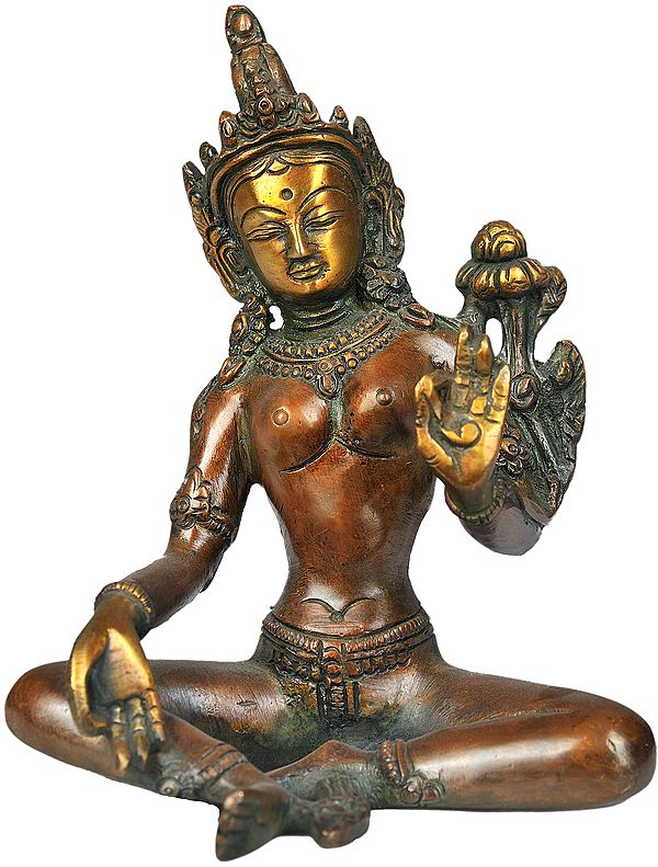 Tibetan Buddhist Saviour Goddess Green Tara