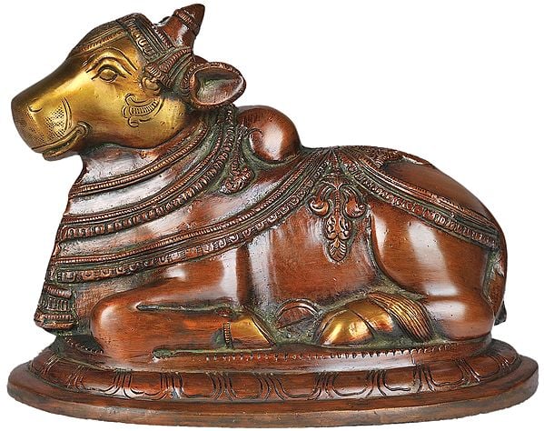 5" Nandi - The Vehicle of Lord Shiva In Brass | Handmade | Made In India