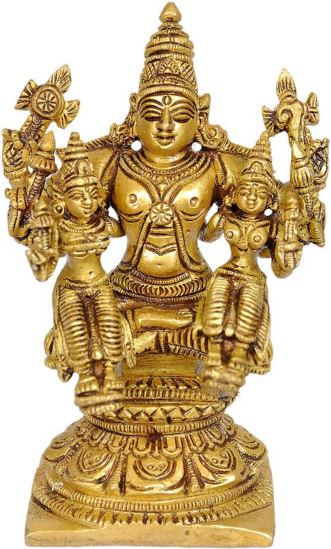 Lord Vishnu with Lakshmi and Bhudevi
