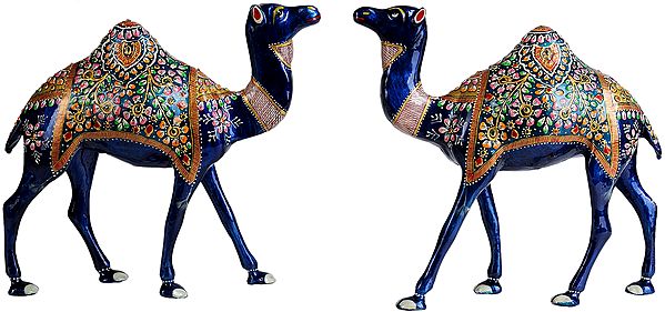Camel Pair (Saddle Decorated with Flowers and Leaves)