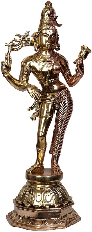 Ardhanarishvara (Half Bronze and Half Copper Statue)