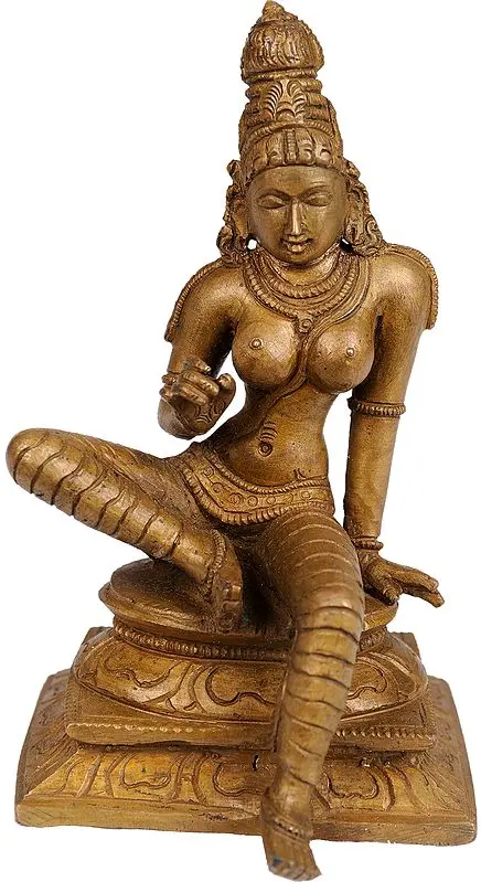 Seated Uma