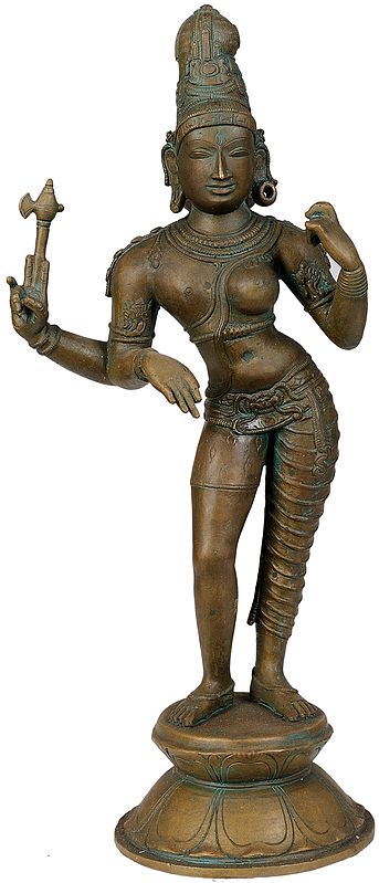 Shiva as Ardhanarishvara