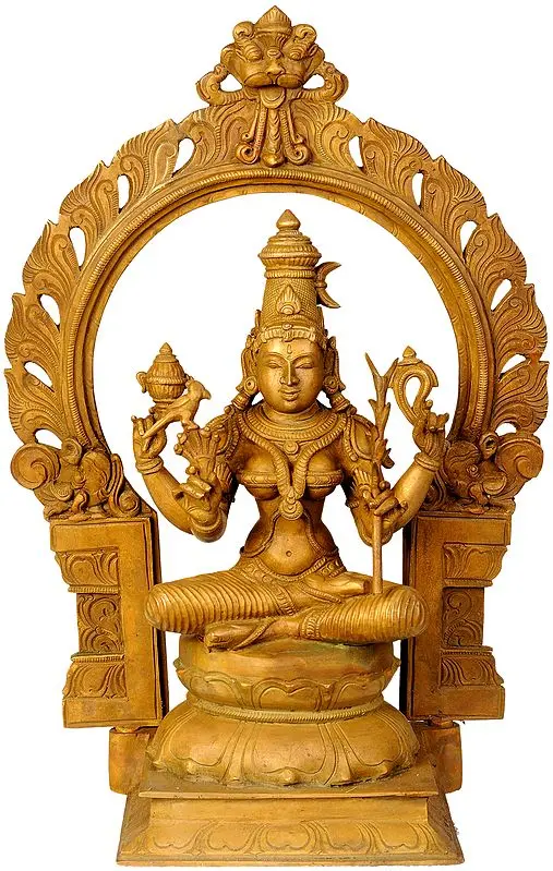 Goddess Rajarajeshwari