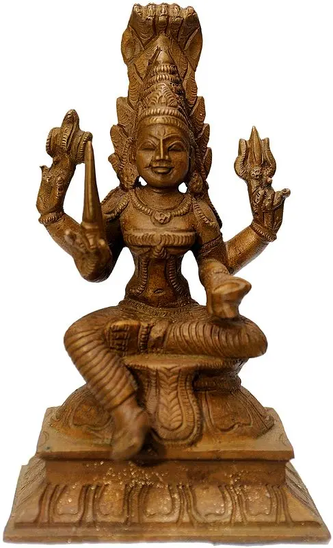 Annapurna Devi