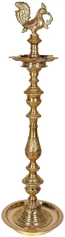 Peacock Lamp