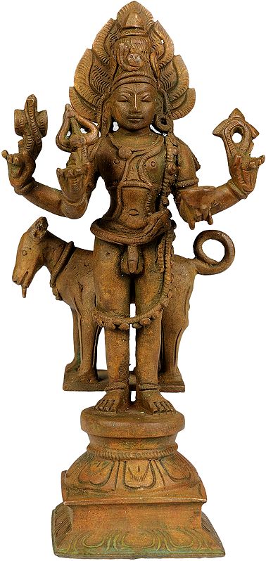 The Rajasik Form of Lord Bhairava