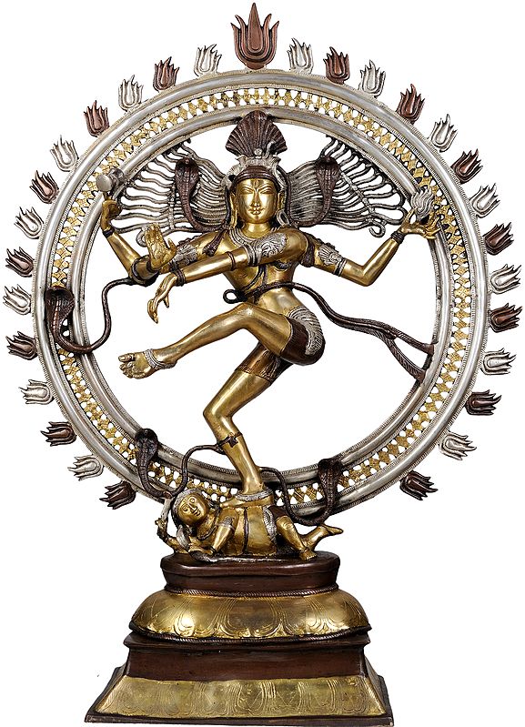 41" Triple Hued Large Nataraja In Brass | Handmade | Made In India