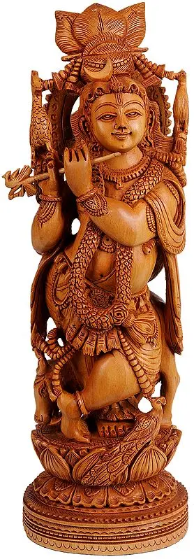 Murali Krishna