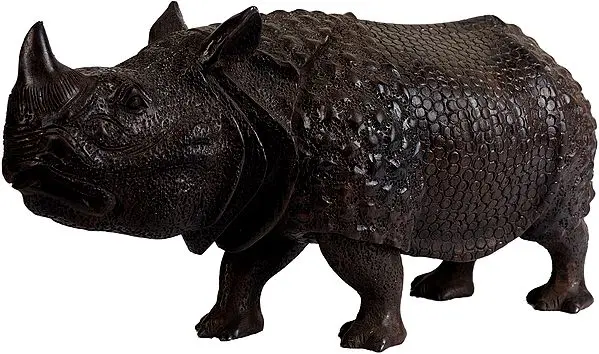 Rhinoceros
