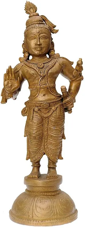 Katihasta Krishna with Parrot