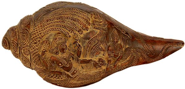 3" Sheshshayi Vishnu Conch In Brass | Handmade | Made In India