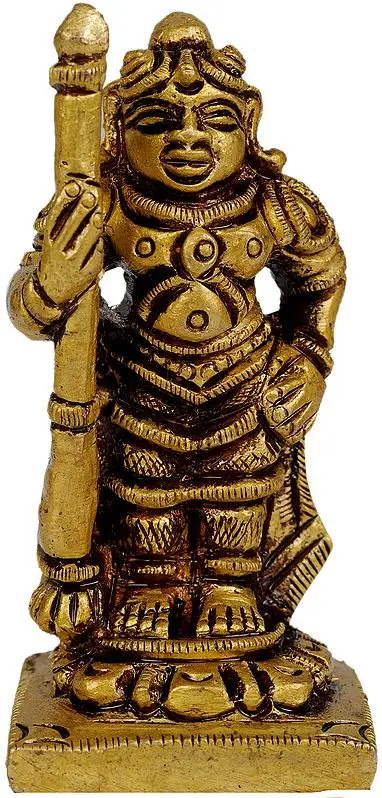 Vaman Avatar