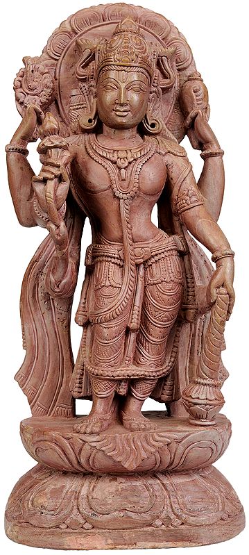 Lord Vishnu - Sustainer of Universe