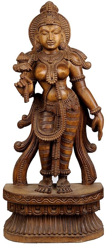 Devi: The Divine Feminine