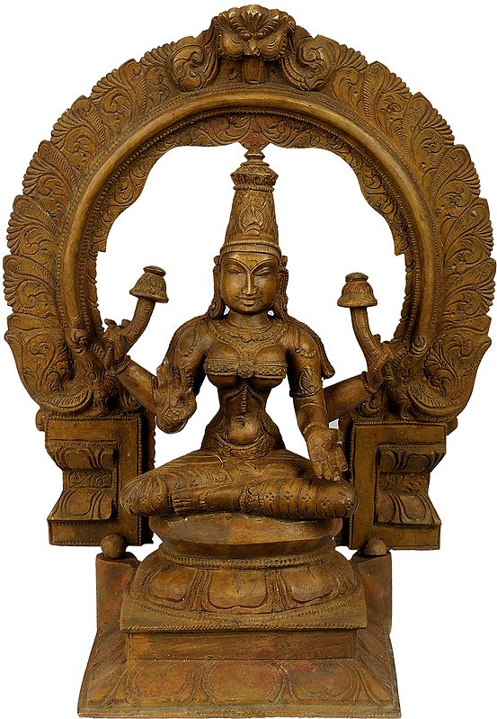 Goddess Lakshmi with Floral Prabhavali