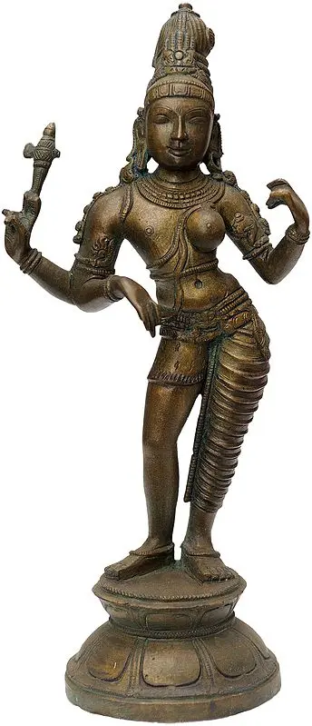 Ardhanarishvara (Shiva-Shakti)