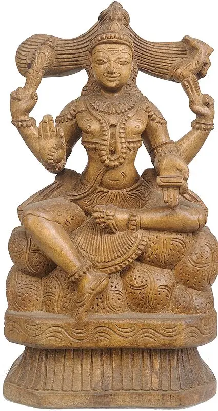 Lord Shiva as Pashupatinath