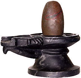 Narmada Shiva Linga with Black Stone Base