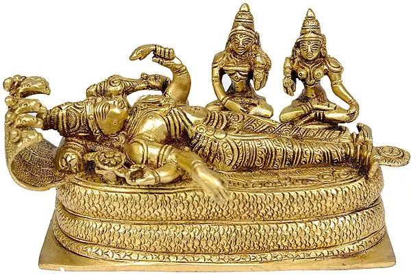 Shesha-shayi Vishnu with Shridevi and Bhudevi