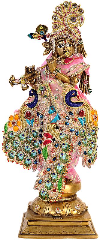 Lord Krishna  with Dress and Jewelry