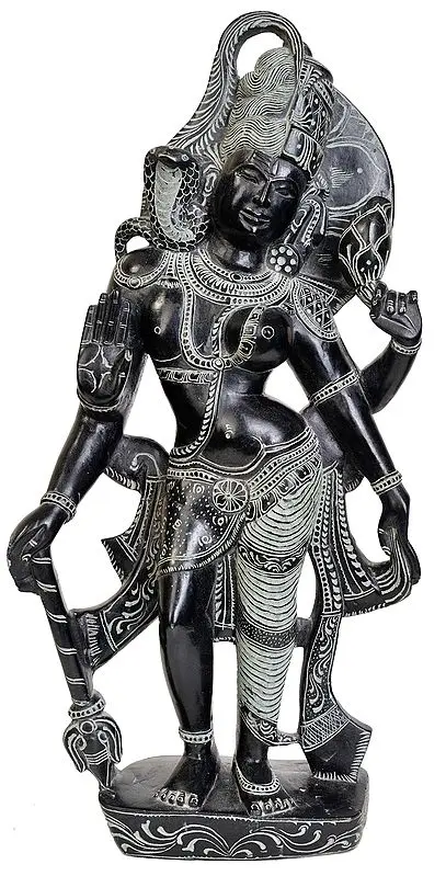Ardhanarishvara (Shiva-Shakti)