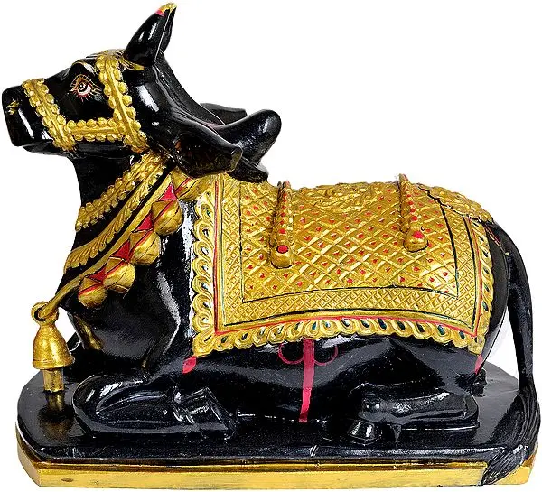 Nandi
