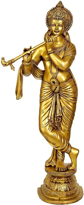 Bhagawan Krishna