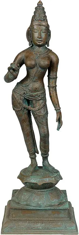 Devi Parvati