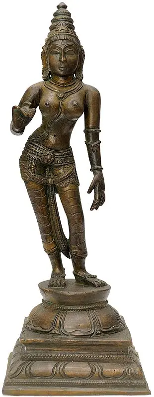 Devi Parvati