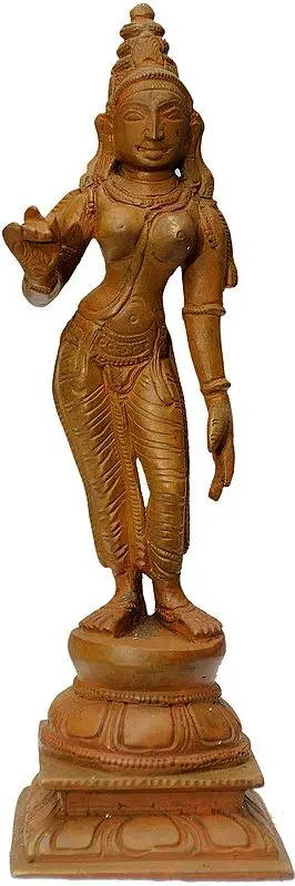 Devi Parvati