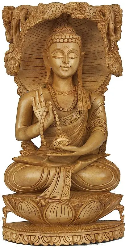 Buddha Under Tree