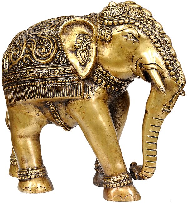 Elephant with Decorative Over-Cloth