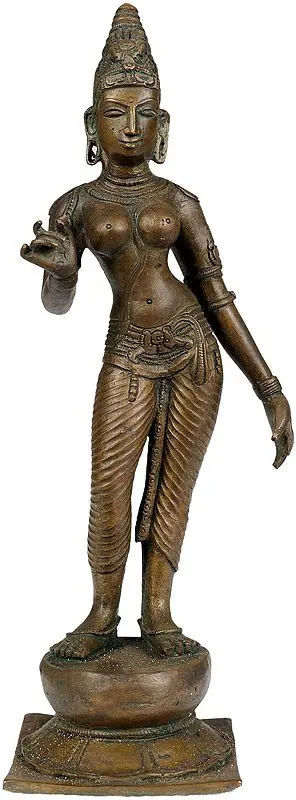 Parvati
