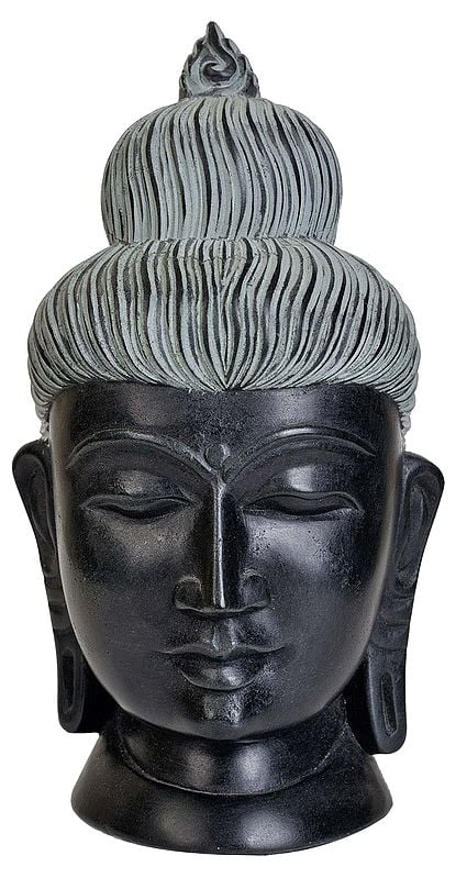 Gandhara Buddha Head