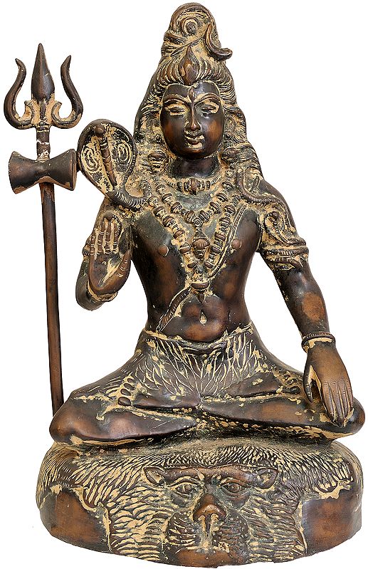 Lord Shiva Granting Abhaya