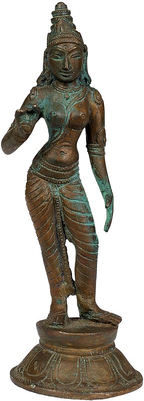 Devi Parvati (Small Statue)
