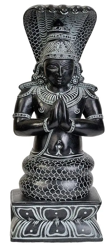 Patanjali
