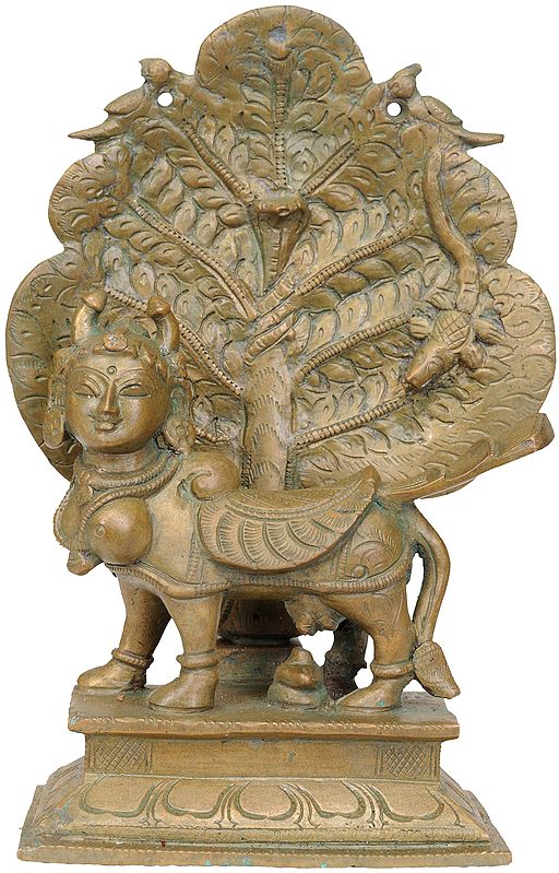 The Celestial Cow Kamadhenu