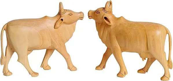 Shri Krishna's Cows