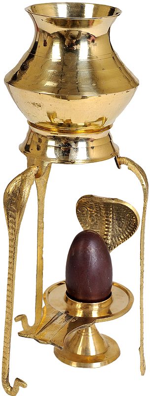 Assembly to Bath Shiva Linga with Dripping Vase for Milk
