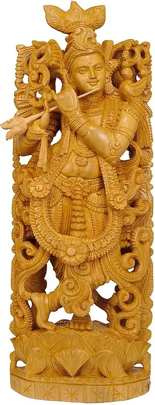 Murali Krishna