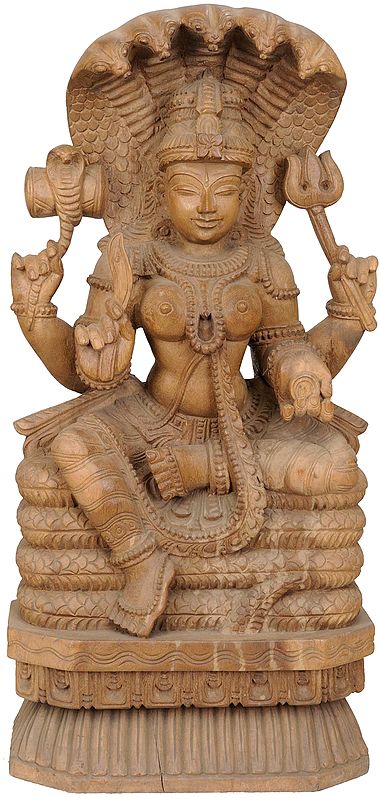 South Indian Goddess Durga