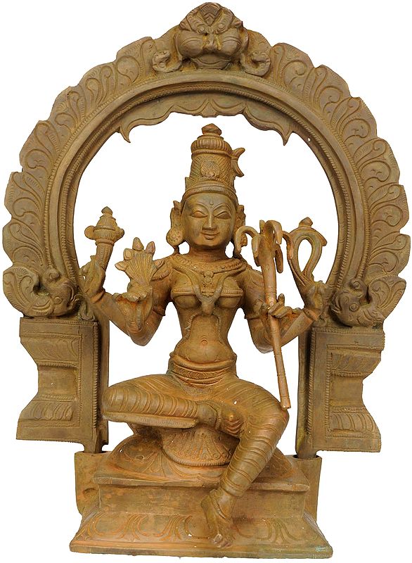 Goddess Rajeshwari