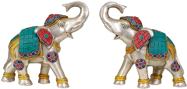 Elephant Pair with Upraised Trunks
