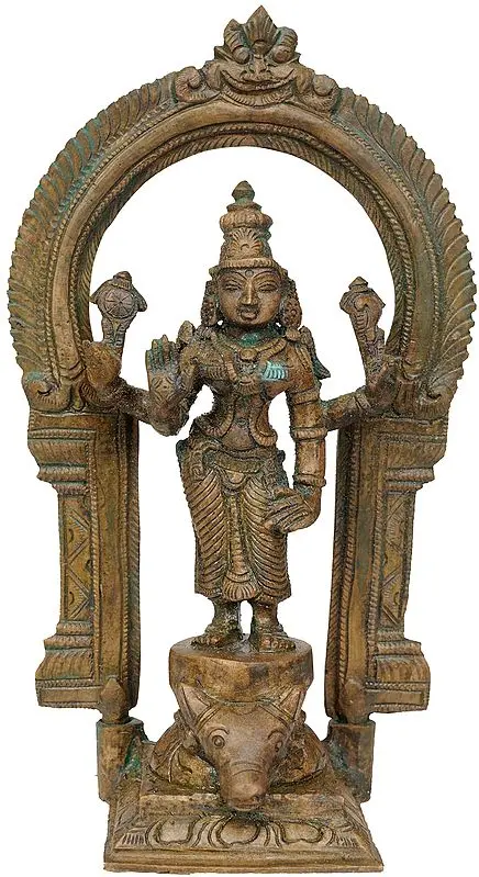 Devi Durga Standing Buffalo Head