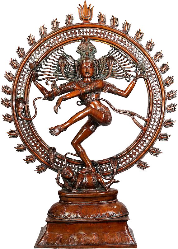 42" Large Size Shiva as Nataraja in Brown Hue In Brass | Handmade | Made In India